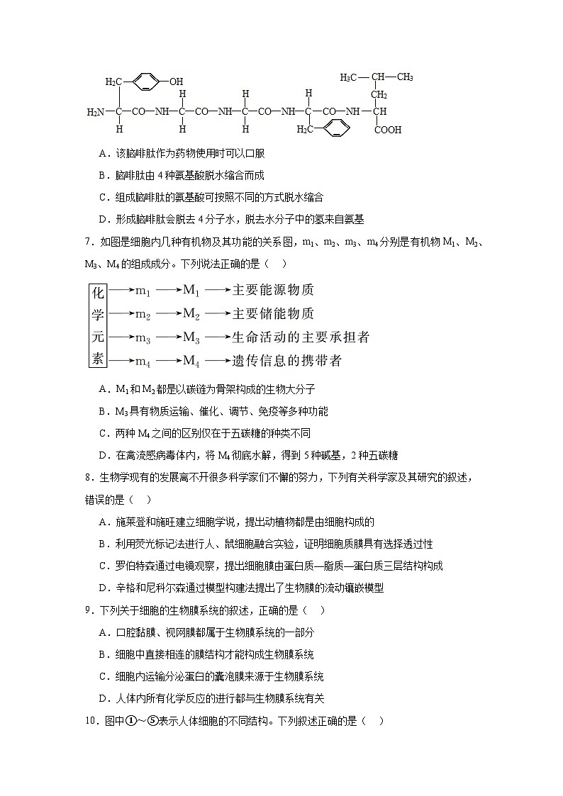 江西省上饶市新知学校2024-2025学年高一上学期12月月考生物学检测试题第3页