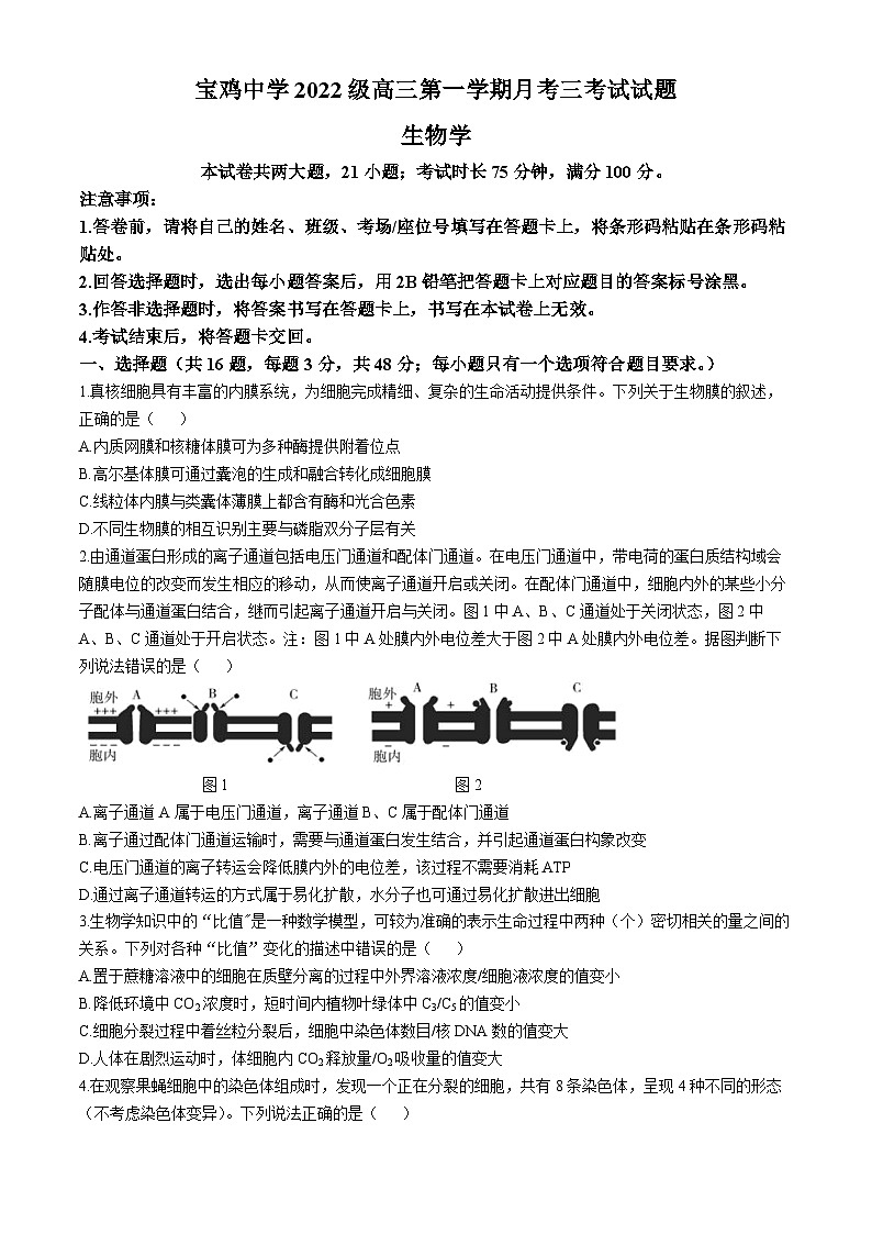 陕西省宝鸡市金台区宝鸡中学2024-2025学年高三上学期12月月考生物试题第1页
