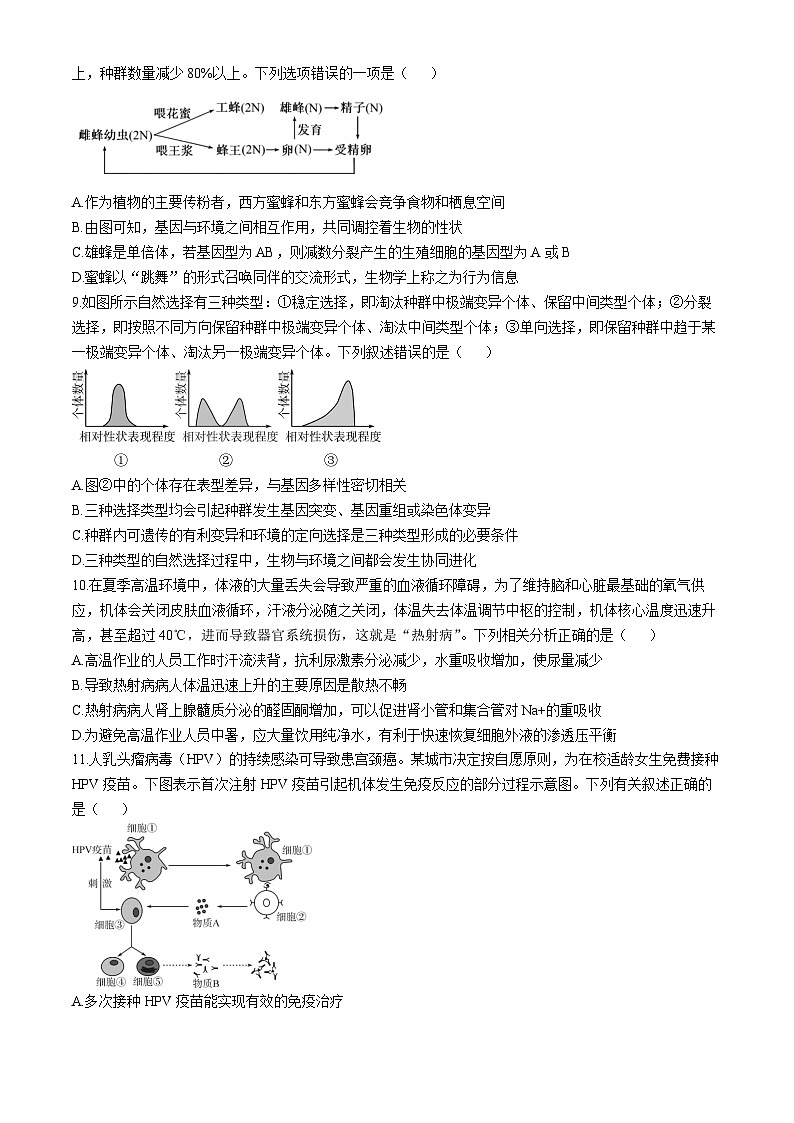 陕西省宝鸡市金台区宝鸡中学2024-2025学年高三上学期12月月考生物试题第3页