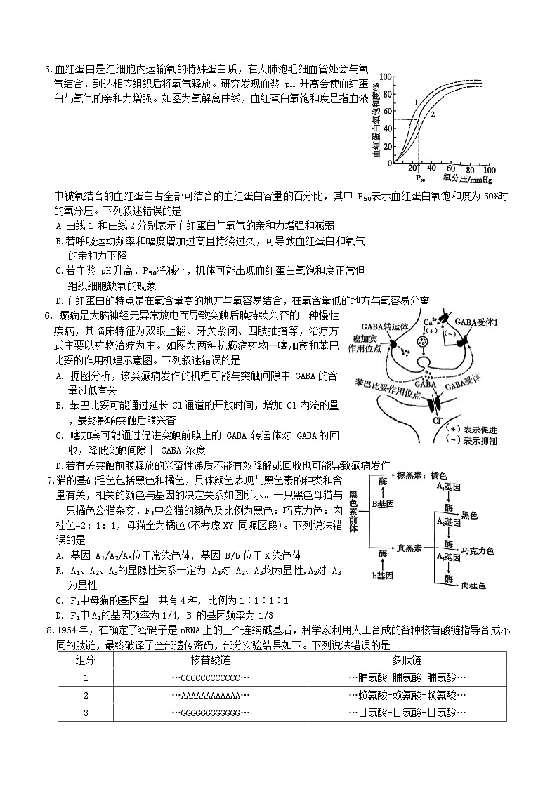 重庆市第一中学校2024-2025学年高三上学期11月期中生物学试题卷第2页