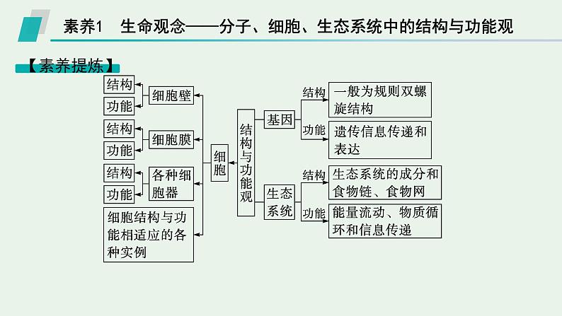 2025届生物高考  二轮复习  细胞是生物体结构与生命活动的基本单位  素养整合_诠释应用 课件第2页