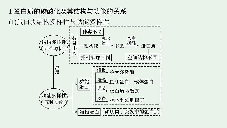 2025届生物高考  二轮复习  细胞是生物体结构与生命活动的基本单位  素养整合_诠释应用 课件第3页