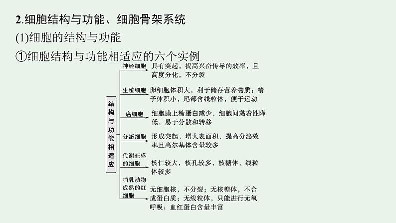 2025届生物高考  二轮复习  细胞是生物体结构与生命活动的基本单位  素养整合_诠释应用 课件第5页