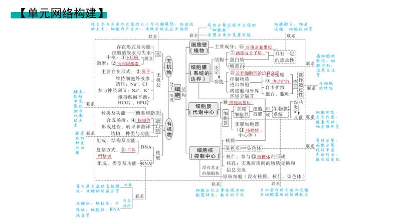 2025届生物高考  二轮复习  细胞是生物体结构与生命活动的基本单位 主干知识 课件第2页