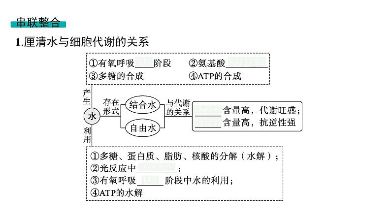 2025届生物高考  二轮复习  细胞是生物体结构与生命活动的基本单位 主干知识 课件第4页