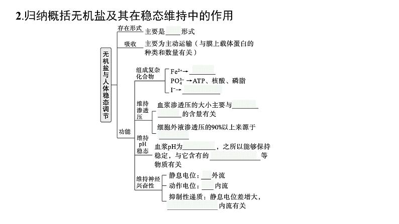 2025届生物高考  二轮复习  细胞是生物体结构与生命活动的基本单位 主干知识 课件第6页