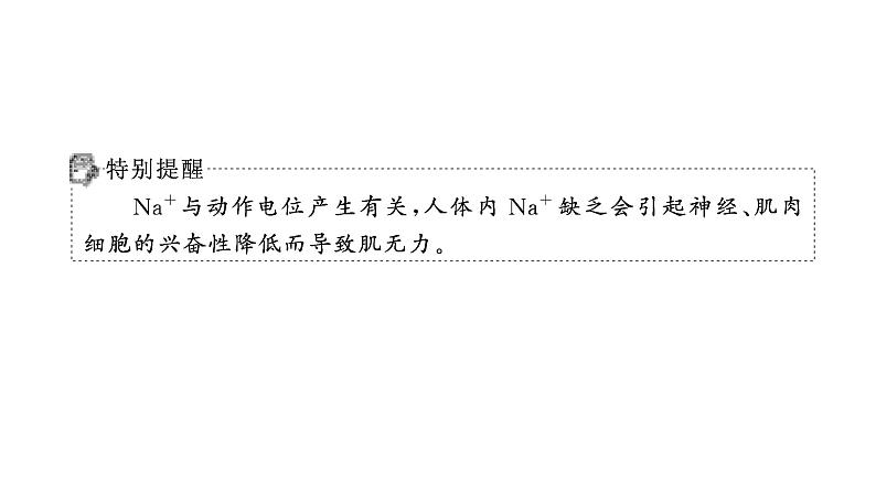 2025届生物高考  二轮复习  细胞是生物体结构与生命活动的基本单位 主干知识 课件第7页