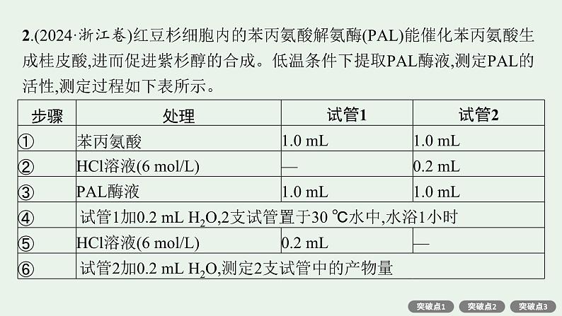 2025届生物高考  二轮复习  细胞的生存需要能量和营养物质  二轮核心_精研专攻 课件第4页