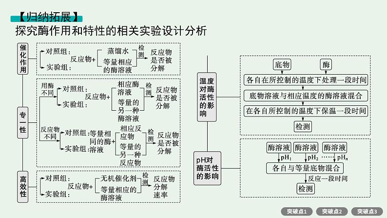 2025届生物高考  二轮复习  细胞的生存需要能量和营养物质  二轮核心_精研专攻 课件第7页