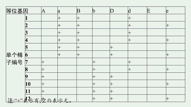 2025届生物高考  二轮复习  长句表达(二)假说演绎——遗传类大题突破 课件第3页