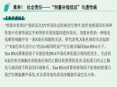 2025届生物高考  二轮复习  遗传信息控制生物性状的遗传规律  素养整合_诠释应用 课件