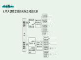 2025届生物高考  二轮复习  遗传信息控制生物性状的遗传规律 主干知识 自主落实  课件
