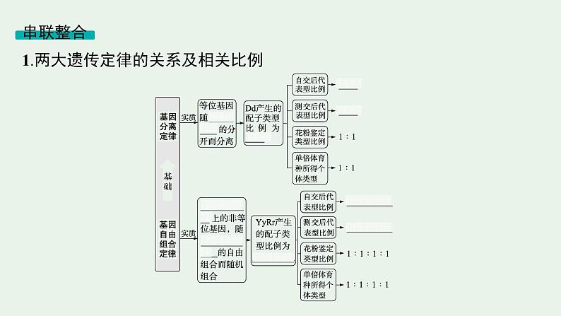 2025届生物高考  二轮复习  遗传信息控制生物性状的遗传规律 主干知识 自主落实  课件第4页