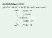 2025届生物高考  二轮复习  遗传信息控制生物性状的遗传规律 主干知识 自主落实  课件