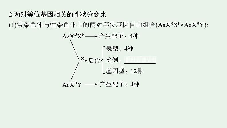 2025届生物高考  二轮复习  遗传信息控制生物性状的遗传规律 主干知识 自主落实  课件第5页