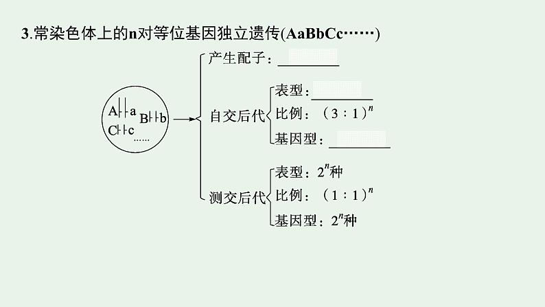 2025届生物高考  二轮复习  遗传信息控制生物性状的遗传规律 主干知识 自主落实  课件第7页