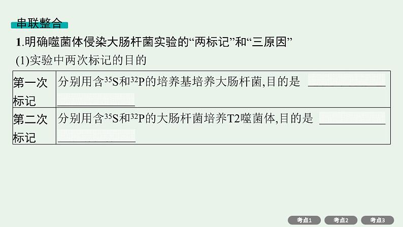 2025届生物高考  二轮复习  遗传的分子基础、变异与进化主干知识 自主落实  课件第4页