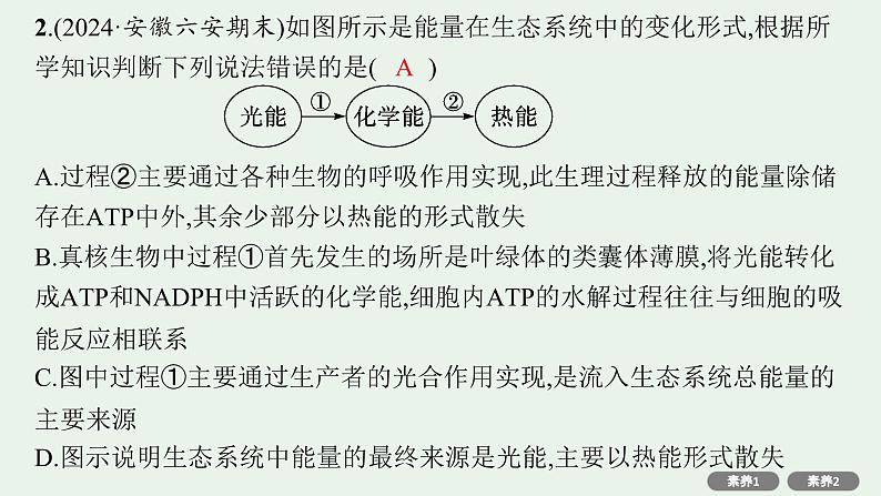 2025届生物高考  二轮复习  细胞的生存需要能量和营养物质  素养整合_诠释应用 课件第6页