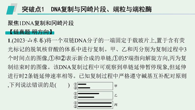 2025届生物高考  二轮复习 遗传的分子基础、变异与进化   二轮核心_精研专攻 课件第2页