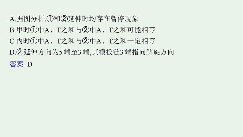 2025届生物高考  二轮复习 遗传的分子基础、变异与进化   二轮核心_精研专攻 课件第3页