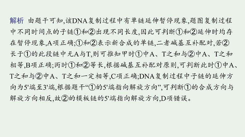 2025届生物高考  二轮复习 遗传的分子基础、变异与进化   二轮核心_精研专攻 课件第4页