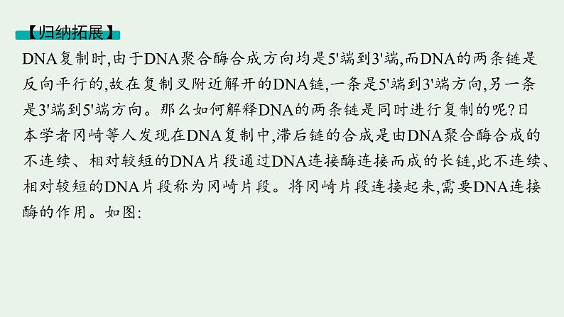 2025届生物高考  二轮复习 遗传的分子基础、变异与进化   二轮核心_精研专攻 课件第5页