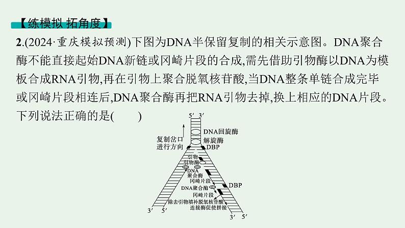 2025届生物高考  二轮复习 遗传的分子基础、变异与进化   二轮核心_精研专攻 课件第7页