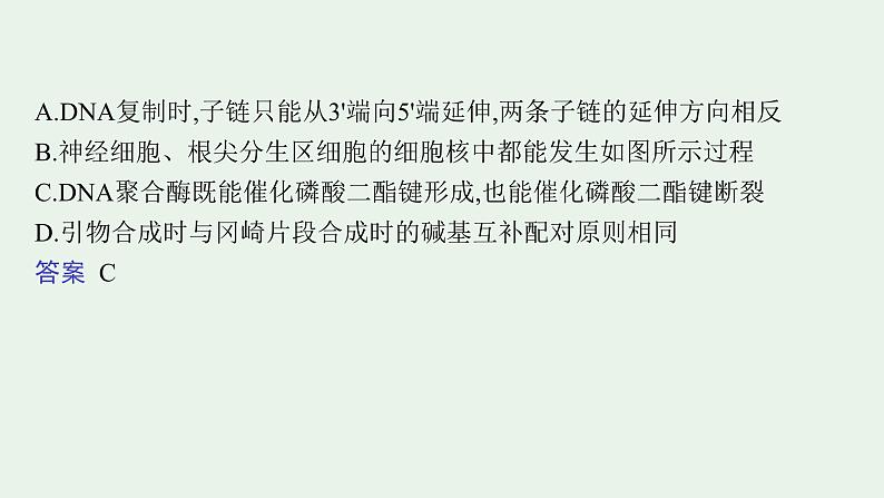 2025届生物高考  二轮复习 遗传的分子基础、变异与进化   二轮核心_精研专攻 课件第8页