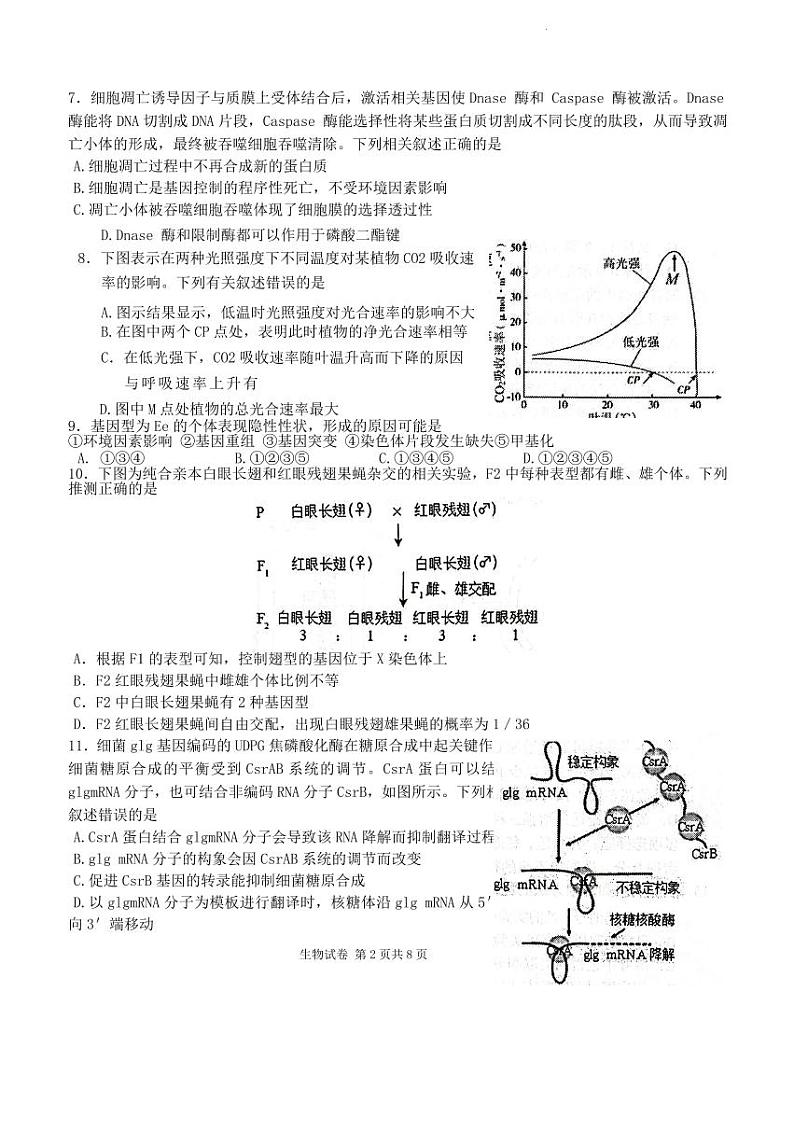 江苏省盐城市2023_2024学年高三生物上学期期中试题pdf第2页