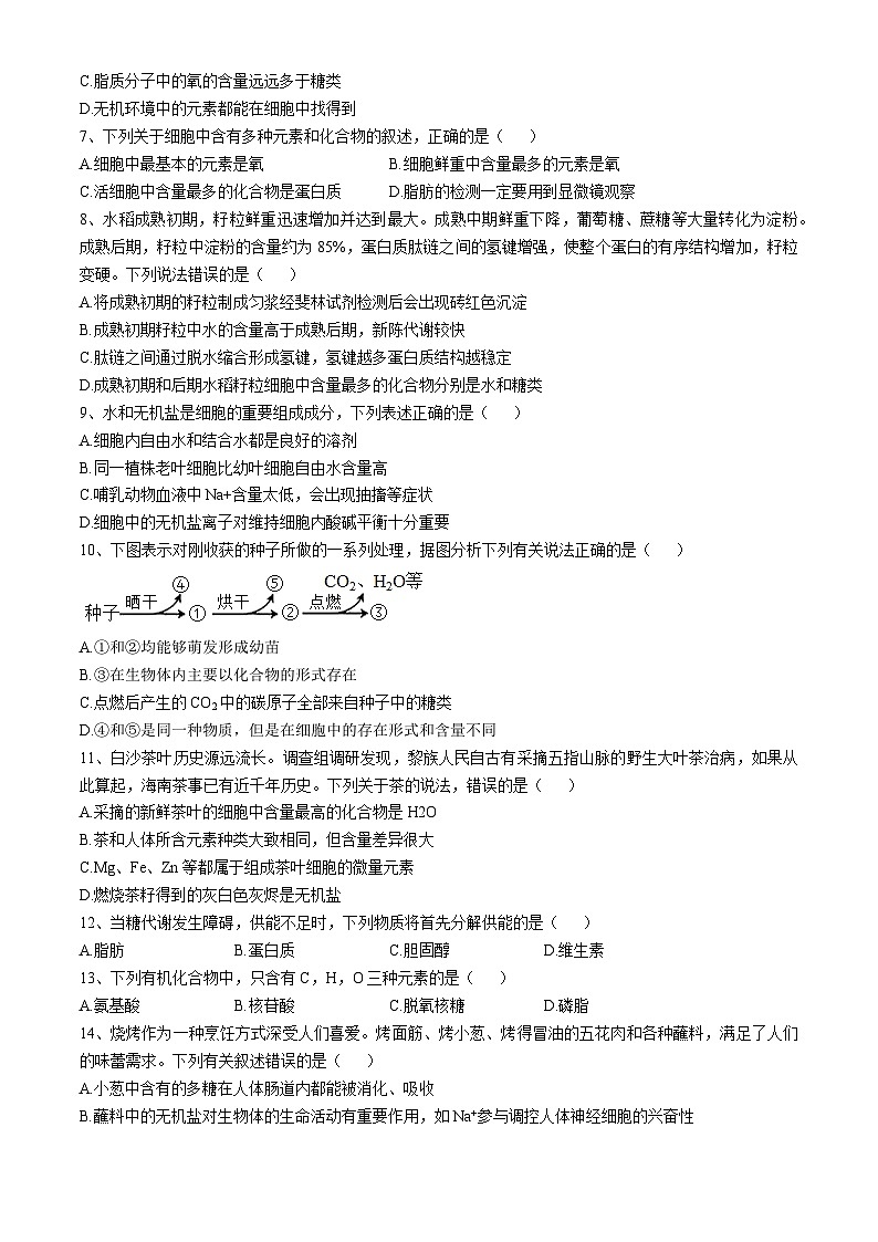 黑龙江省大庆市石油高级中学2024-2025学年高一上学期11月期中生物试题第2页