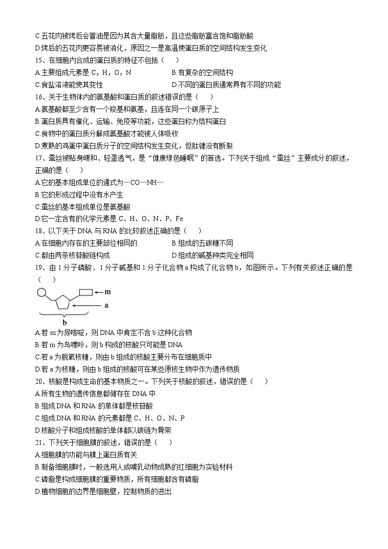 黑龙江省大庆市石油高级中学2024-2025学年高一上学期11月期中生物试题第3页
