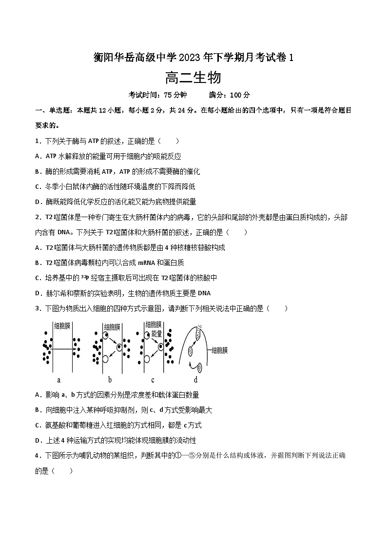 湖南省衡阳市华岳高级中学2023—2024学年高二上学期第一次月考生物试题第1页