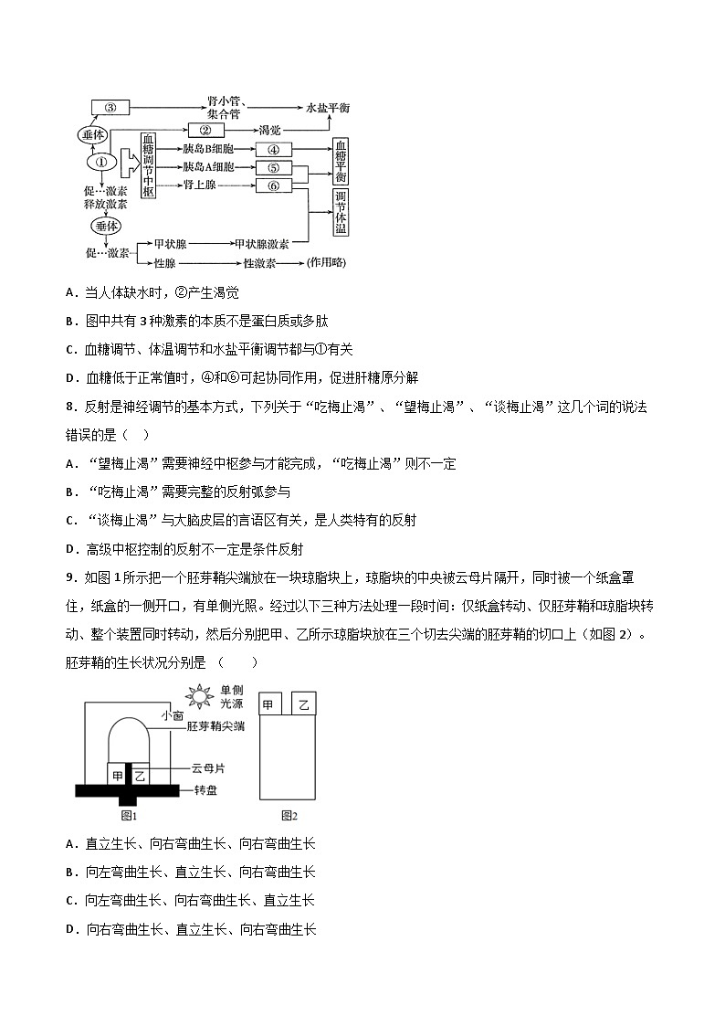 湖南省衡阳市华岳高级中学2023—2024学年高二上学期第一次月考生物试题第3页
