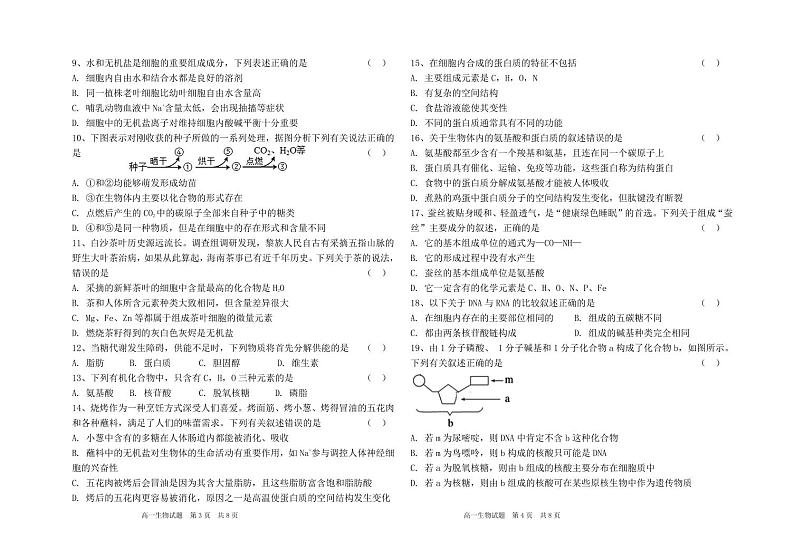 黑龙江省大庆市石油高级中学2024-2025学年高一上学期11月期中生物试题第2页