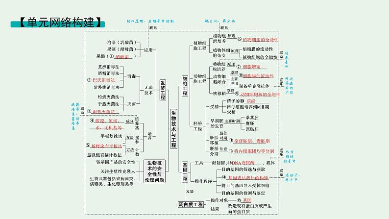 2025届生物高考  二轮复习  生物技术与工程 主干知识 自主落实  课件第2页