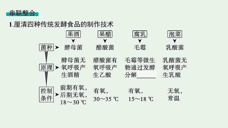 2025届生物高考  二轮复习  生物技术与工程 主干知识 自主落实  课件第4页