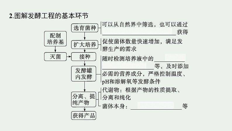 2025届生物高考  二轮复习  生物技术与工程 主干知识 自主落实  课件第5页