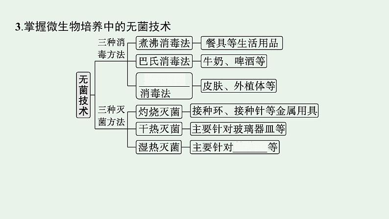 2025届生物高考  二轮复习  生物技术与工程 主干知识 自主落实  课件第6页