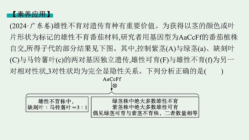 2025届生物高考  二轮复习  遗传的分子基础、变异与进化  素养整合_诠释应用 课件第7页