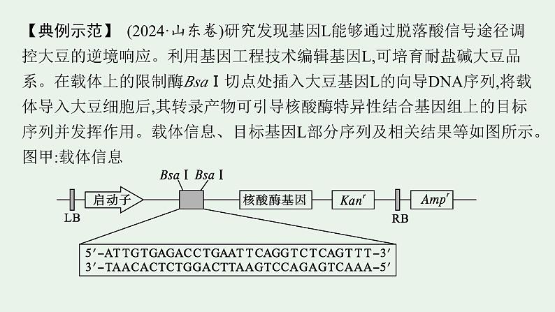 2025届生物高考  二轮复习  长句表达(五)基因工程类大题突破 课件 第2页