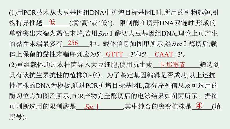 2025届生物高考  二轮复习  长句表达(五)基因工程类大题突破 课件 第5页