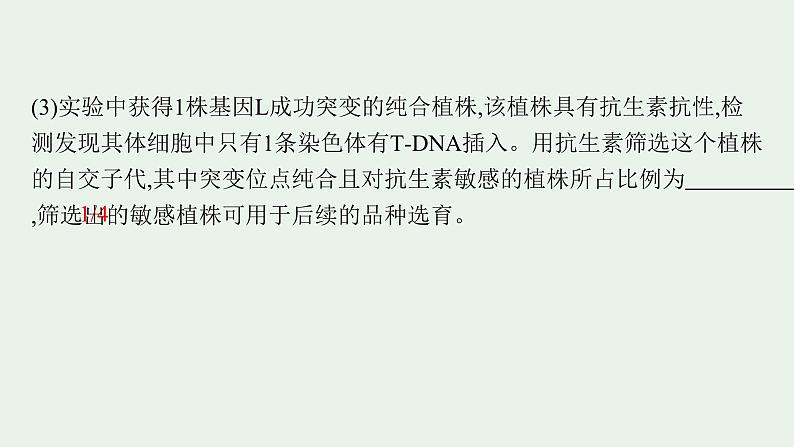 2025届生物高考  二轮复习  长句表达(五)基因工程类大题突破 课件 第6页