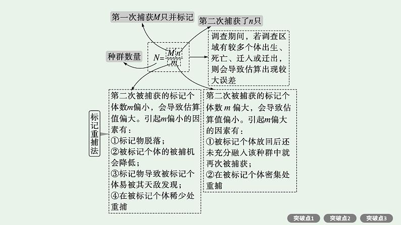 2025届生物高考  二轮复习  长句表达(五)基因工程类大题突破 课件 第5页