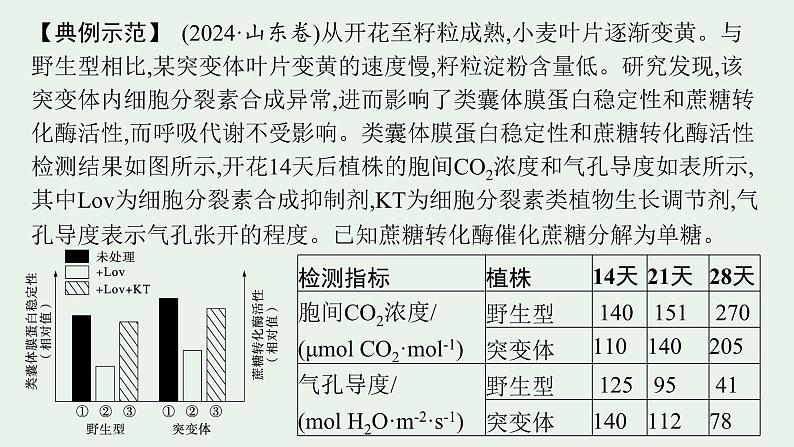 2025届生物高考  二轮复习  长句表达(一)细胞代谢类大题突破 课件第2页