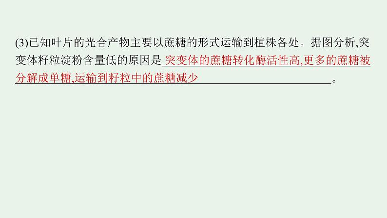 2025届生物高考  二轮复习  长句表达(一)细胞代谢类大题突破 课件第4页