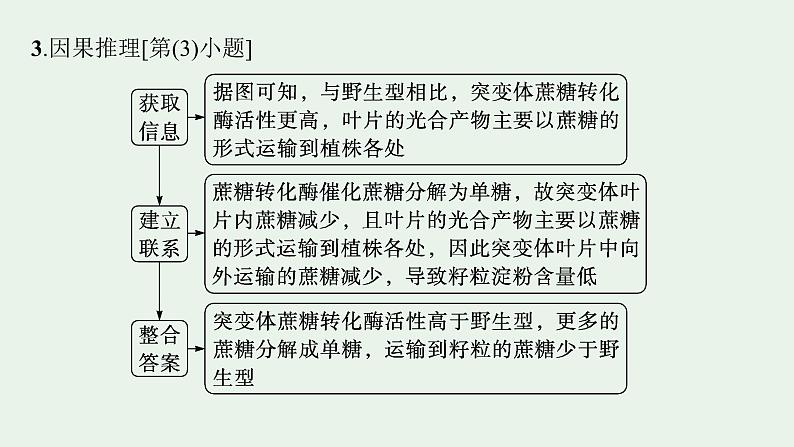 2025届生物高考  二轮复习  长句表达(一)细胞代谢类大题突破 课件第7页