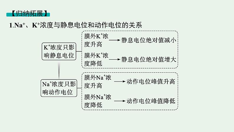 2025届生物高考  二轮复习 个体通过一定的调节机制保持稳态   二轮核心_精研专攻 课件第6页