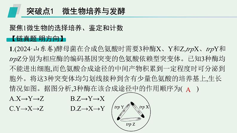 2025届生物高考  二轮复习 生物技术与工程    二轮核心_精研专攻 课件第2页