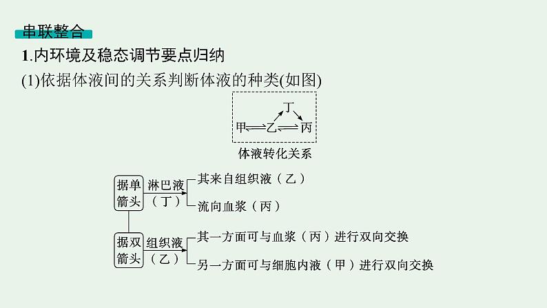 2025届生物高考  二轮复习   个体通过一定的调节机制保持稳态 主干知识 自主落实  课件 第4页