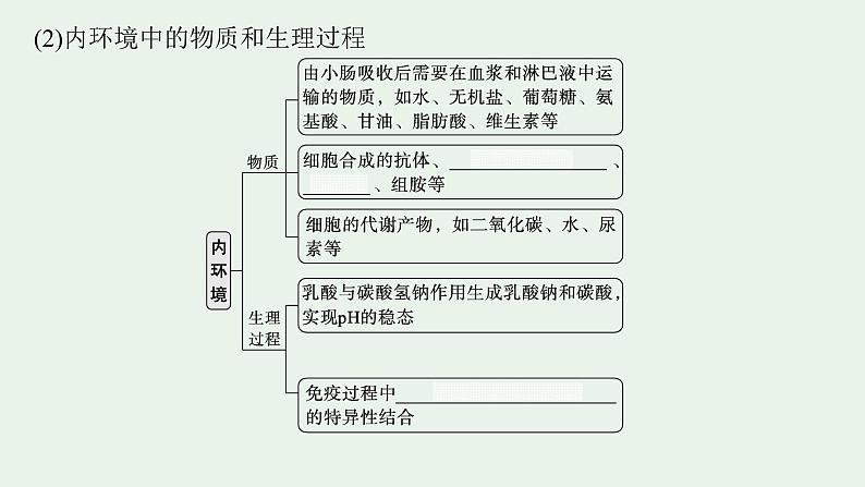 2025届生物高考  二轮复习   个体通过一定的调节机制保持稳态 主干知识 自主落实  课件 第5页